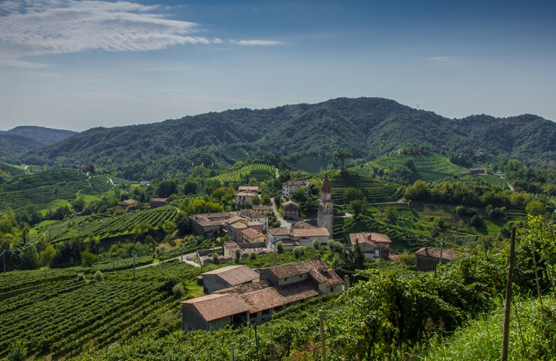 Просекко Винные виноградники Ролле Тревизо Венето Италия